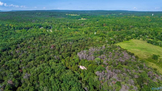 251 Wells St, Mentone, AL 35984 - aerial view featuring a view of trees