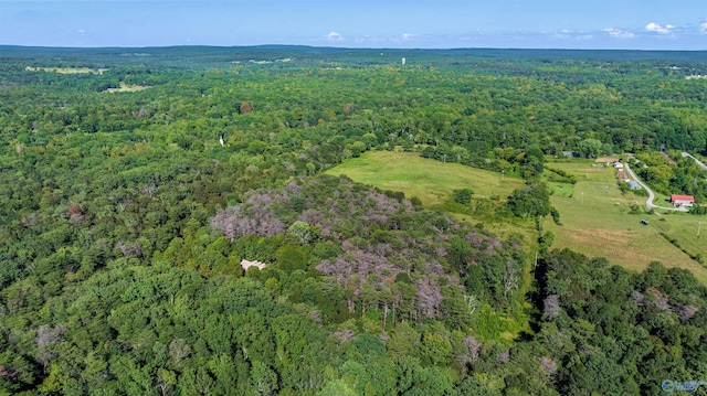 251 Wells St, Mentone, AL 35984 - drone / aerial view with a view of trees