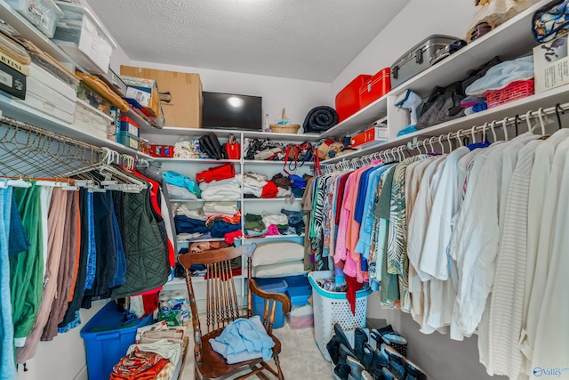 251 Wells St, Mentone, AL 35984 - view of walk in closet