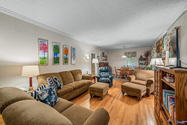 living room featuring crown molding, light hardwood / wood-style flooring, and a textured ceiling