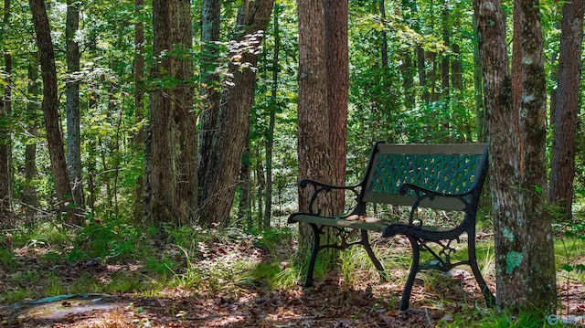 251 Wells St, Mentone, AL 35984 - view of property's community featuring a forest view