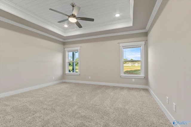 carpeted spare room with ceiling fan, a raised ceiling, and crown molding