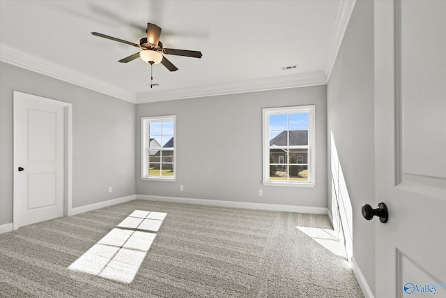 spare room with carpet, a wealth of natural light, and crown molding