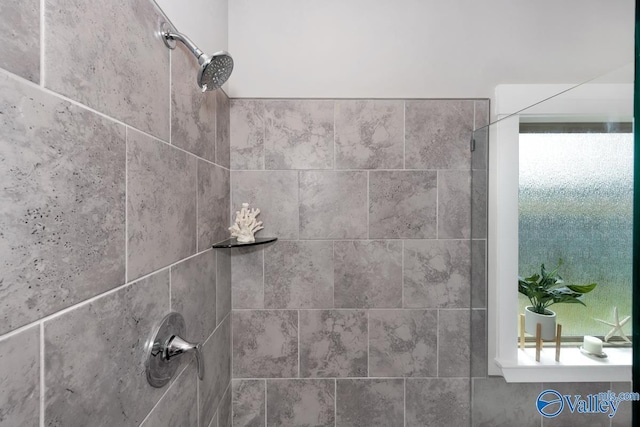 14614 Demarie Ln, Athens, AL 35613 - bathroom view of tiled shower
