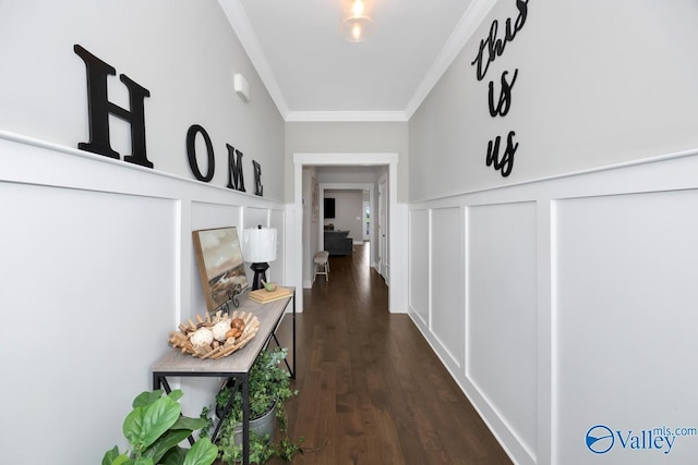 14614 Demarie Ln, Athens, AL 35613 - hall with crown molding, dark wood-style floors, and wainscoting