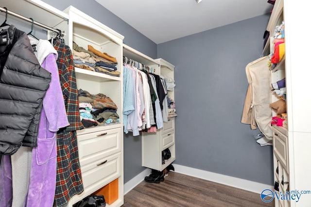 spacious closet featuring dark wood-style flooring