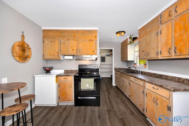 kitchen featuring under cabinet range hood, a sink, black range with electric cooktop, and dark wood finished floors