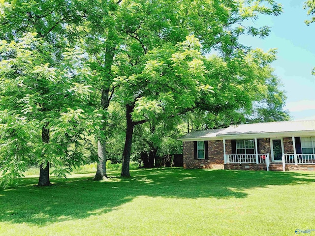 view of yard featuring a porch