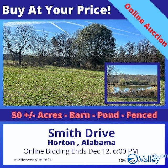 50ACRES Smith Dr, Horton AL, 35980 land for sale