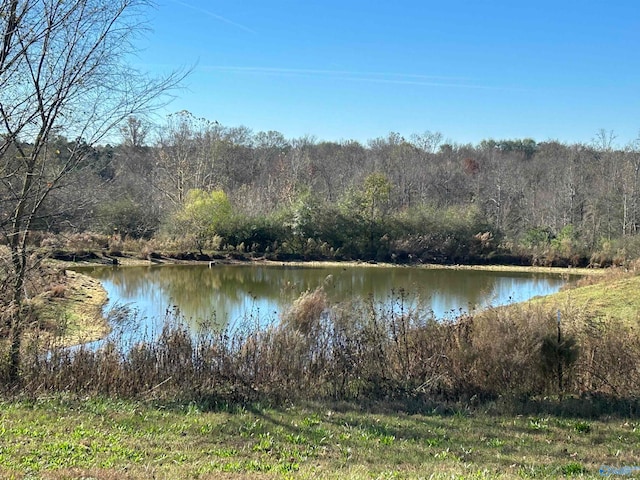 Listing photo 2 for 50ACRES Smith Dr, Horton AL 35980