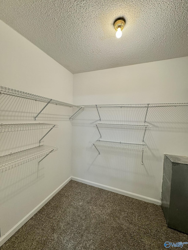 walk in closet featuring dark carpet