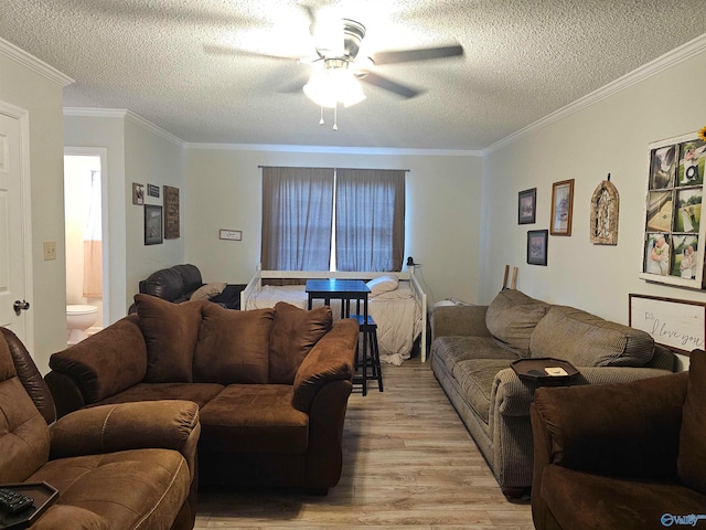 living room featuring crown molding, light hardwood / wood-style flooring, ceiling fan, and a textured ceiling