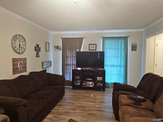 living room featuring a textured ceiling, hardwood / wood-style flooring, and ornamental molding