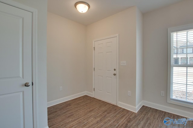 entryway featuring dark wood-type flooring