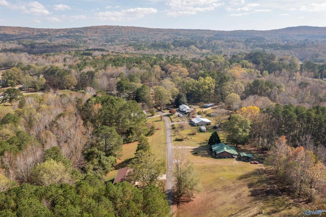 bird's eye view