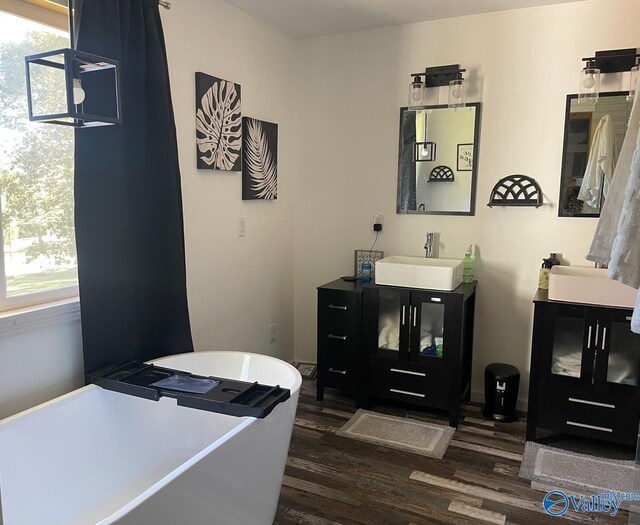 bathroom with vanity, wood-type flooring, plenty of natural light, and a washtub