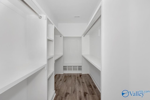 spacious closet featuring light wood-type flooring