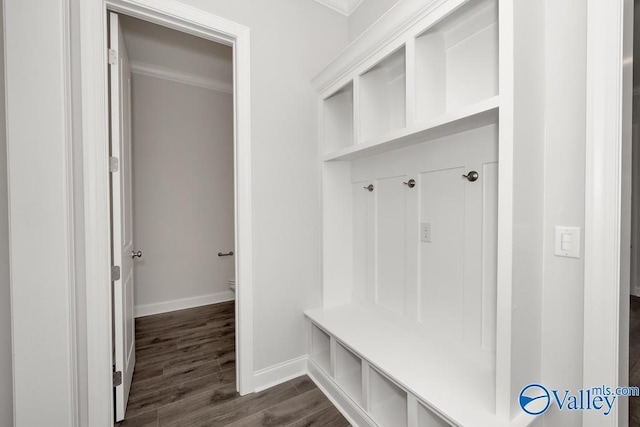 mudroom featuring dark hardwood / wood-style floors