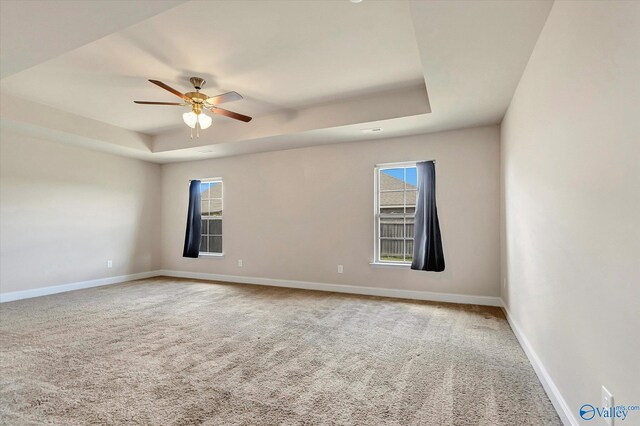 spacious closet featuring carpet flooring