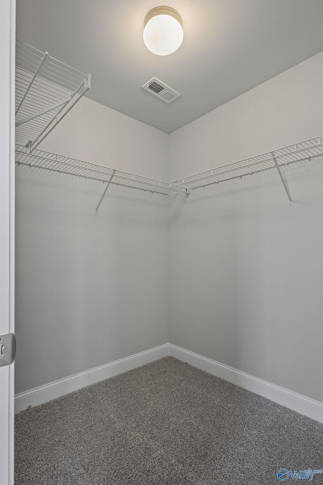 walk in closet featuring carpet and visible vents