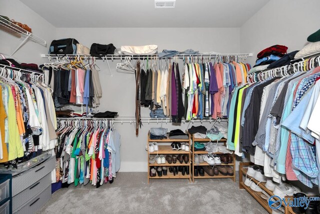 spacious closet featuring carpet