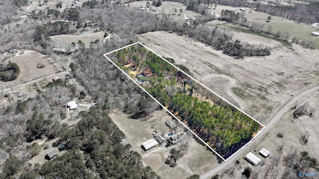 birds eye view of property featuring a rural view