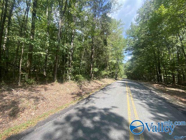 M900 County Road 114, Scottsboro AL, 35769 land for sale