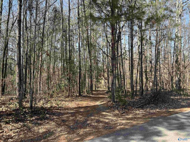 1 Western Hills Dr, Southside AL, 35907 land for sale