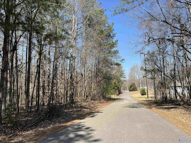 Listing photo 3 for 1 Western Hills Dr, Southside AL 35907