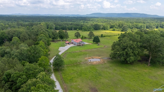 birds eye view of property with a mountain view