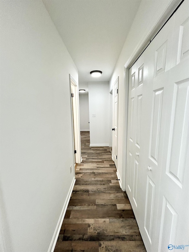 hall with dark wood-type flooring