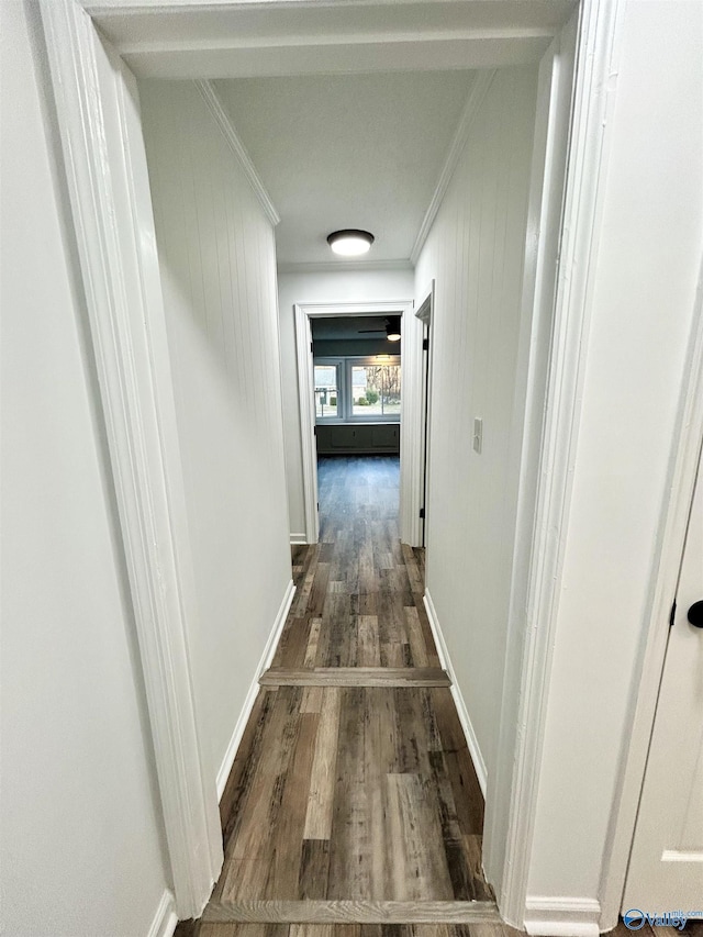 hallway with ornamental molding and dark hardwood / wood-style floors