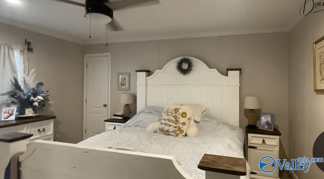 bedroom with ceiling fan