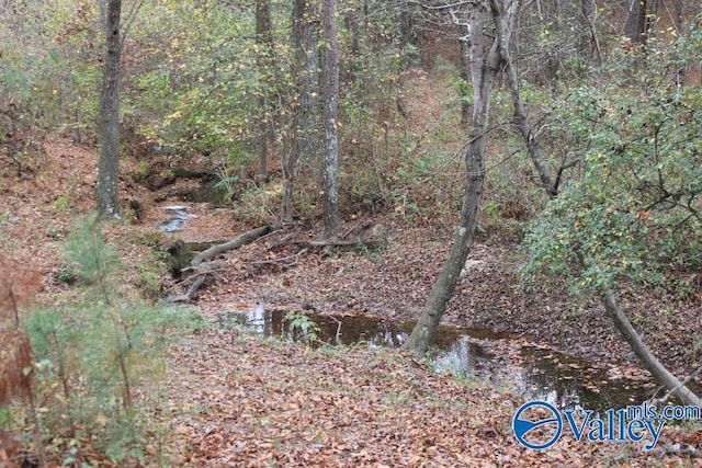 view of local wilderness with a water view