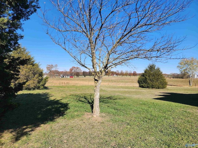 view of yard with a rural view