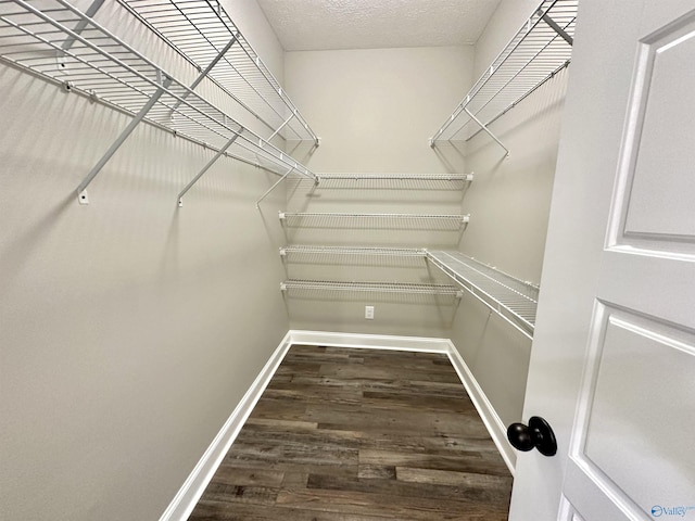 walk in closet featuring wood finished floors