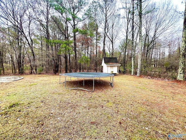 view of yard featuring a trampoline and a shed