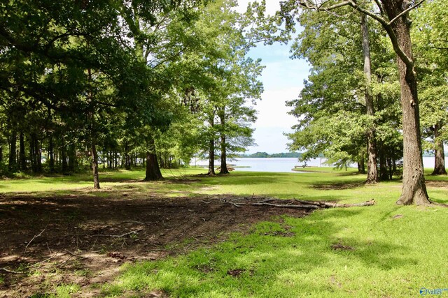 17395 County Road 31, Centre, AL 35960 - view of yard featuring a water view