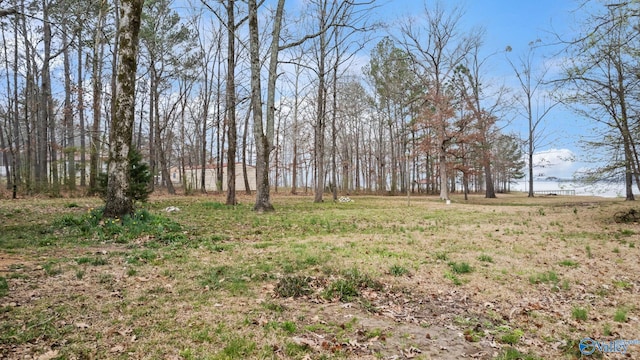 17395 County Road 31, Centre, AL 35960 - view of yard
