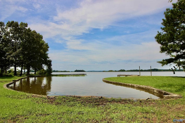 17395 County Road 31, Centre, AL 35960 - water view