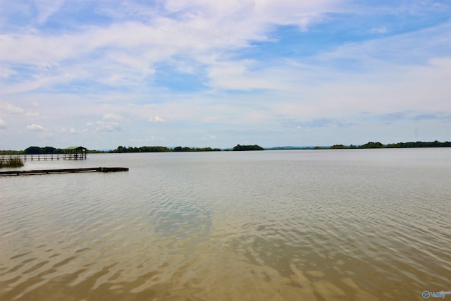 17395 County Road 31, Centre, AL 35960 - view of water feature