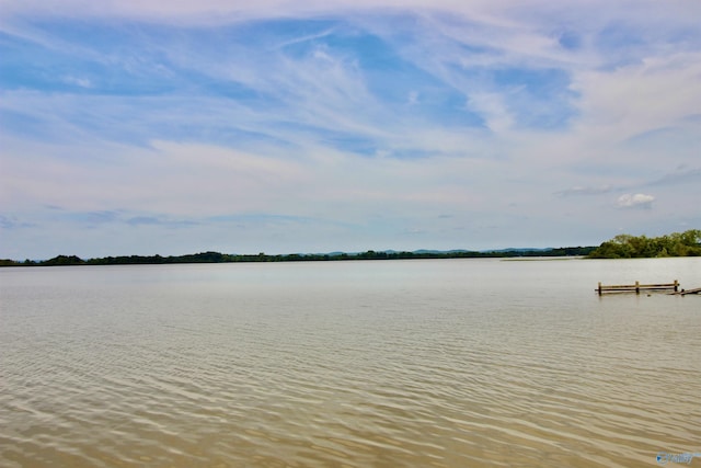 17395 County Road 31, Centre, AL 35960 - water view with a boat dock