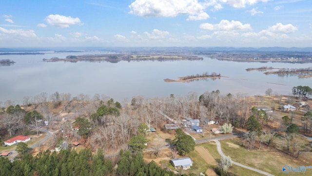 17395 County Road 31, Centre, AL 35960 - bird's eye view with a water view