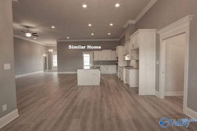 kitchen featuring wood finished floors, a sink, white cabinets, open floor plan, and an island with sink