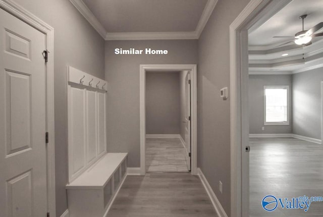 mudroom with baseboards, light wood-type flooring, a ceiling fan, and crown molding