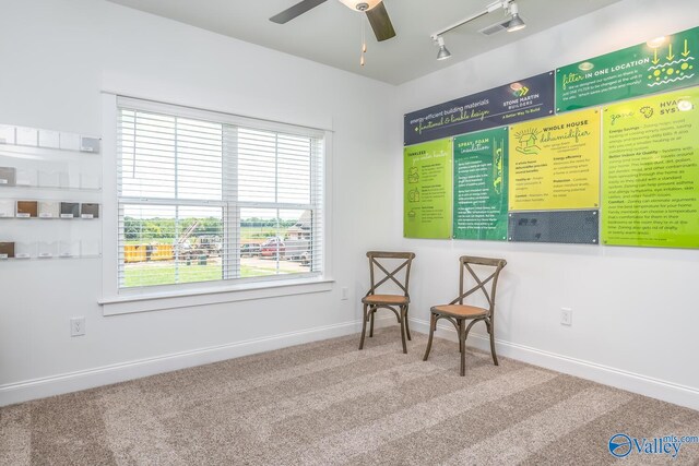 living area featuring rail lighting, ceiling fan, carpet flooring, and a wealth of natural light