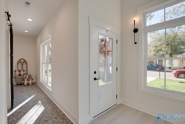 entrance foyer with a healthy amount of sunlight