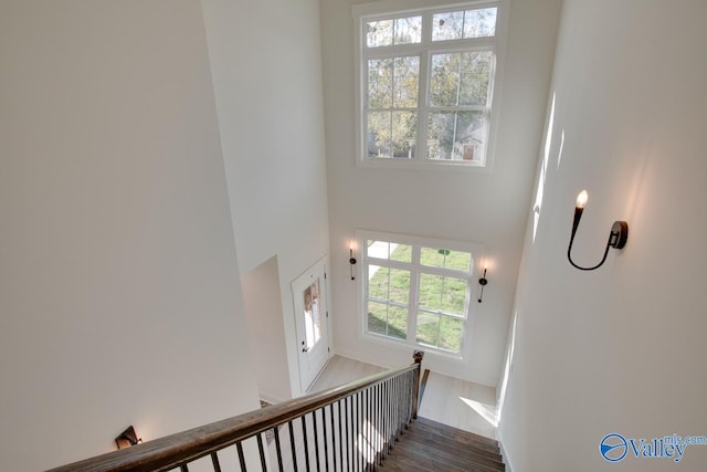 stairway with wood-type flooring, a wealth of natural light, and a high ceiling