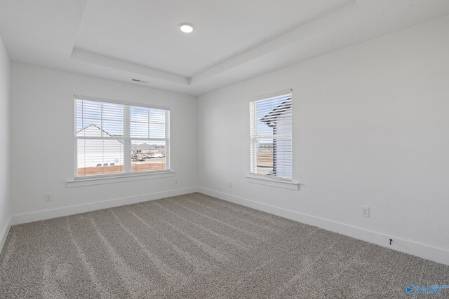 197 Chesire Cove Ln, New Market, AL 35761 - carpeted spare room with a raised ceiling