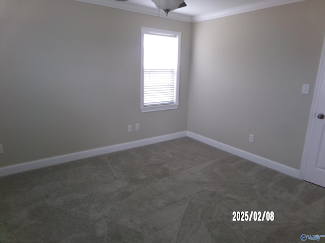 carpeted empty room with ceiling fan and ornamental molding